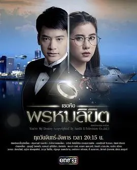 《命中注定我爱你》：一场意想不到的邂逅，浪漫爱情喜剧的经典回归，让你笑泪齐飞！